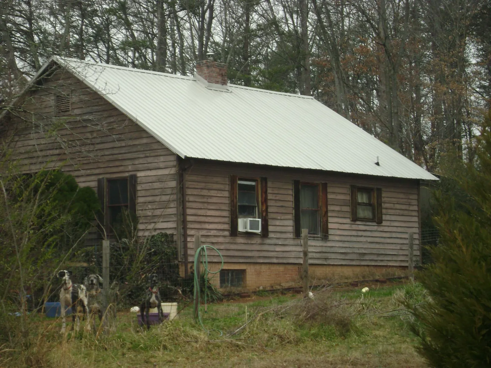 White metal roof on an old wood sided farmhouse, from a Asphalt Shingle Roof Repair job in Copemish